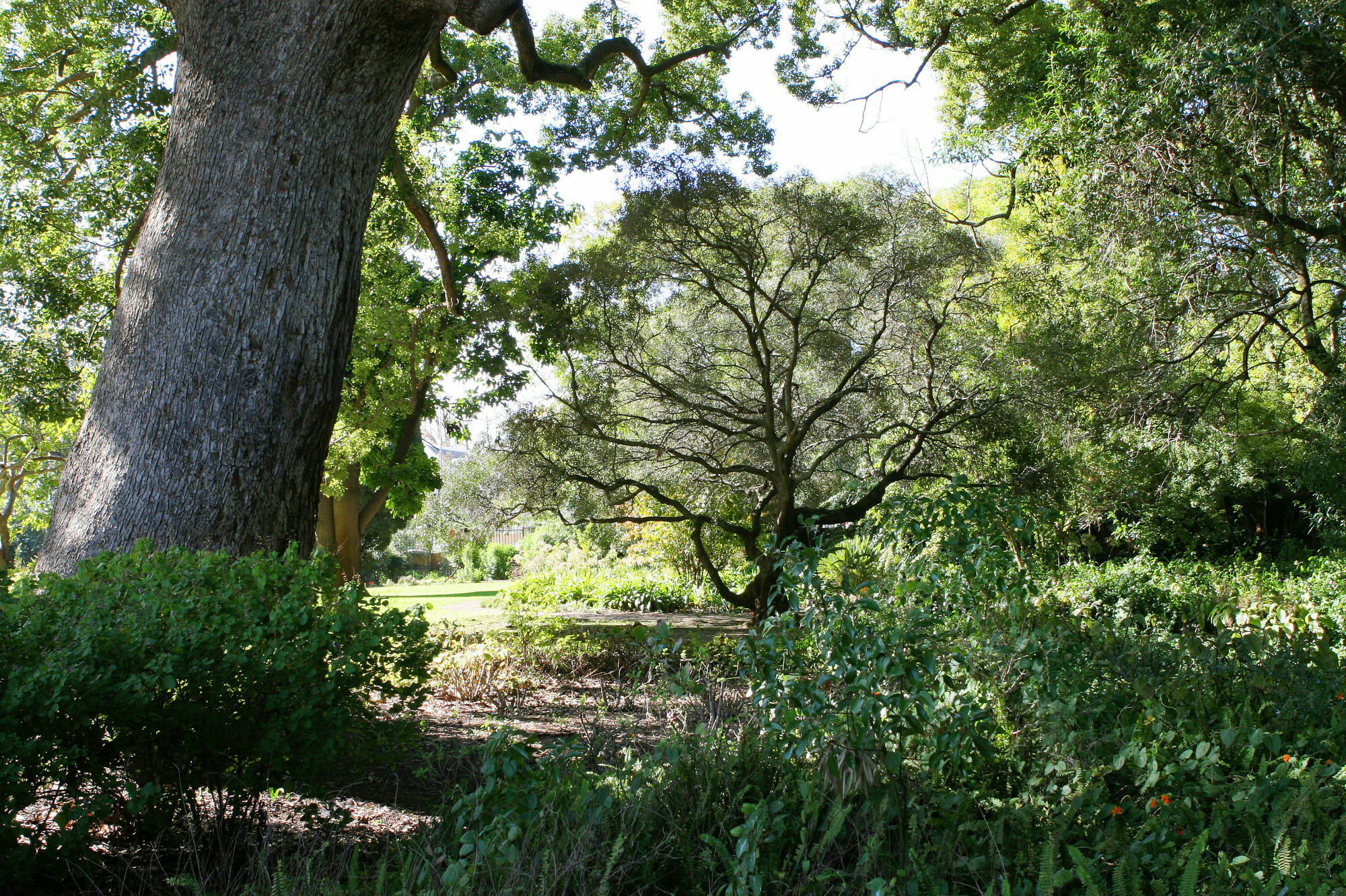 Avemore Wag N Bietjie No 1 Stellenbosch Luaran gambar